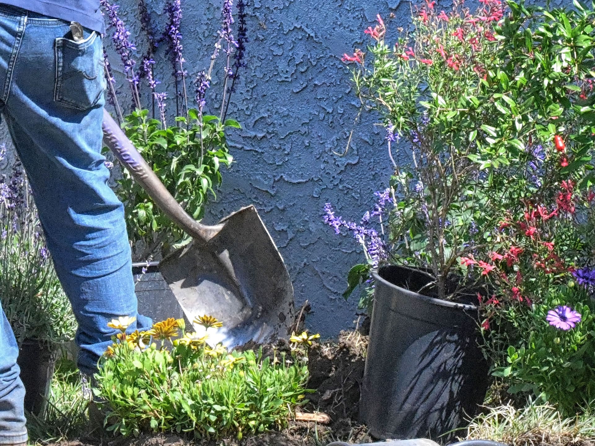 Landscape Installation